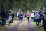 Run Forrest Trail Run - Event on Great Ocean Road