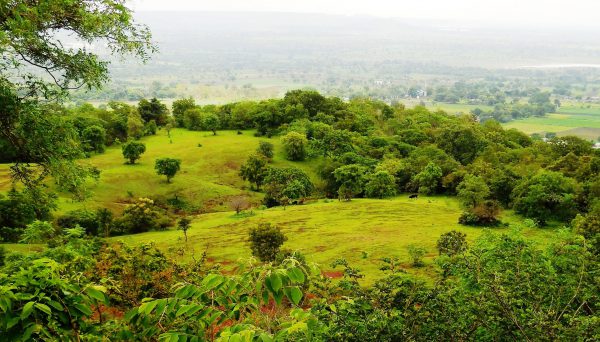 Ananthagiri hills trip