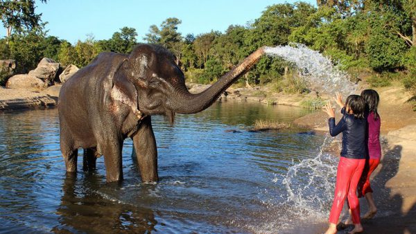 elephant-plays-with-children