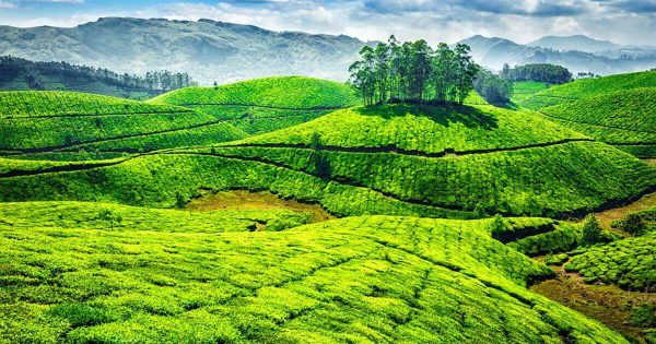 car on rent in Darjeeling