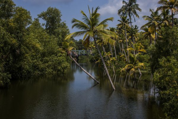 Rent a car in Kochi