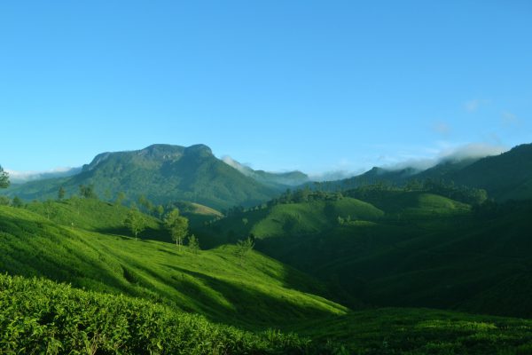 road trip in munnar