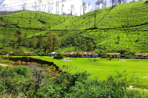 Coimbatore, Valparai to Munnar   best weekend places near Coimbatore for a road trip