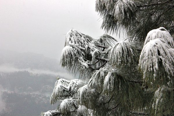 North India: Shimla