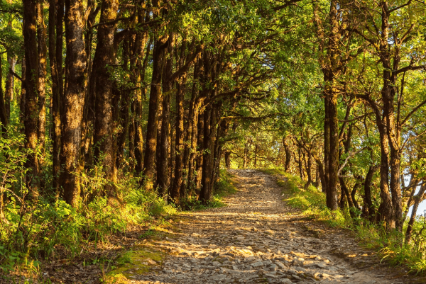 Road trip to Nainital